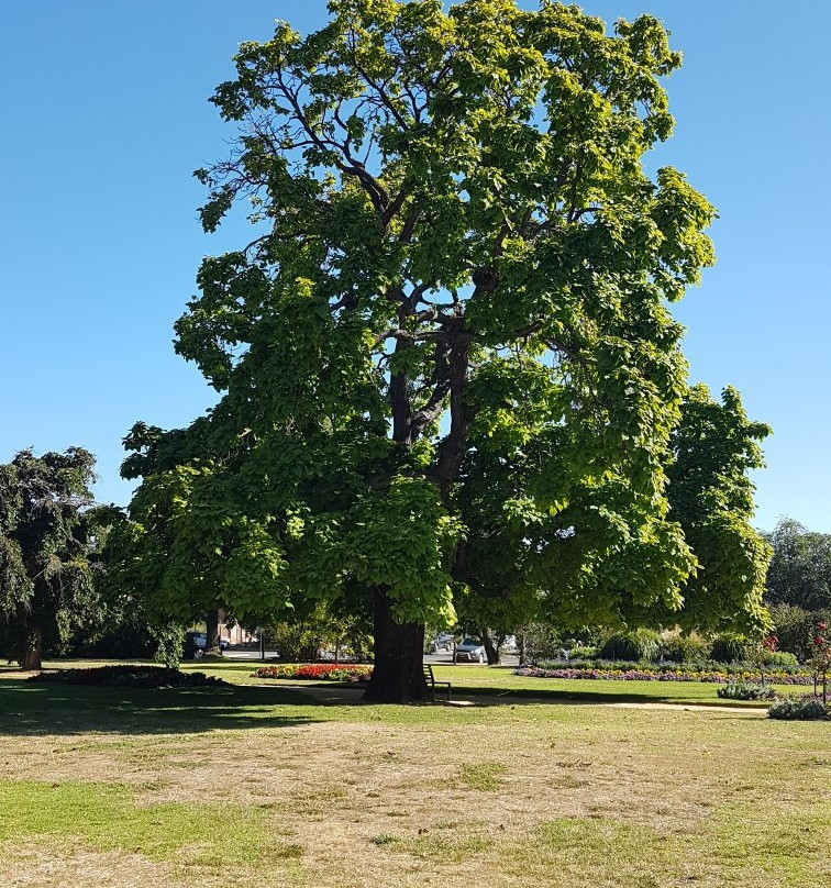 Castlemaine Botanical Gardens景点图片