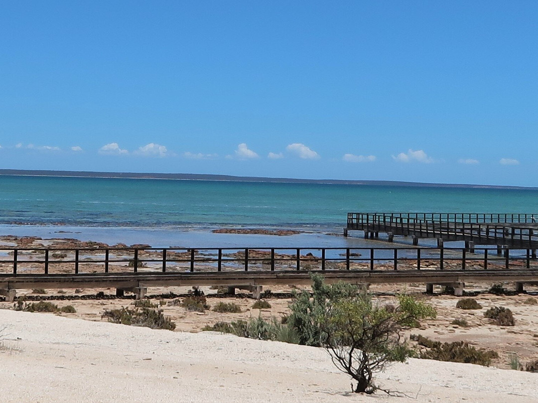 Hamelin Pool Marine Nature Reserve-德纳姆必去景点