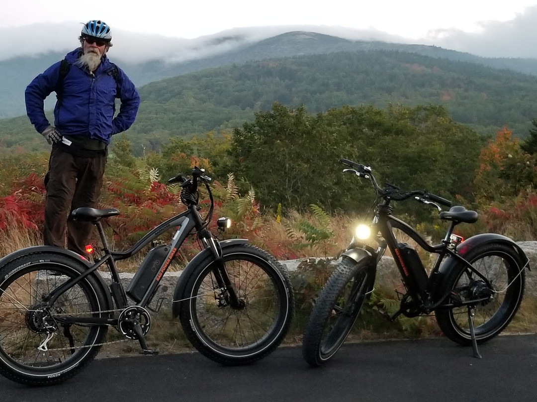 Island Time e-bike tours and rentals景点图片