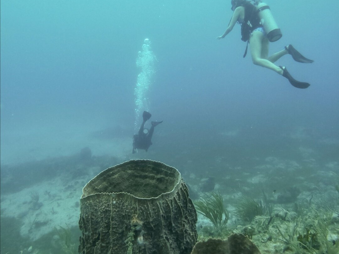 Soul Immersions Dive Centre景点图片