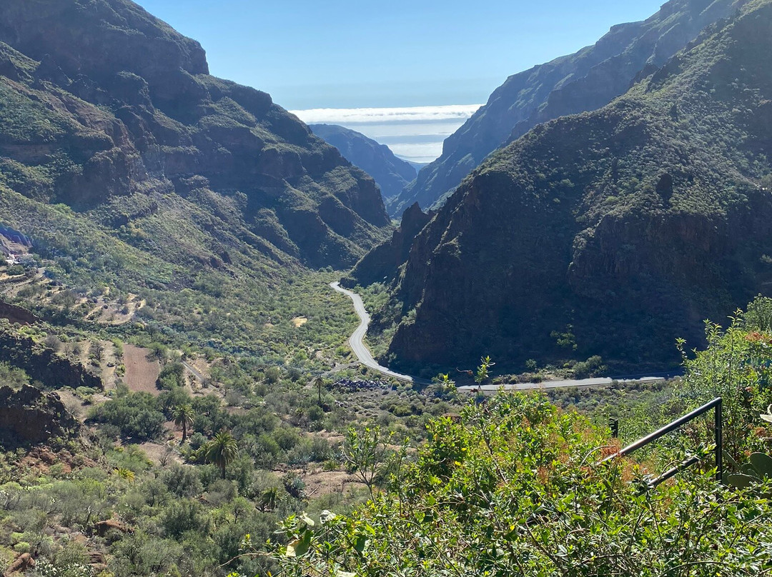Casa Cueva Canaria景点图片