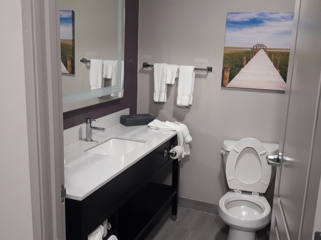 La Quinta Inn & Suites by Wyndham Walker - Denham Springs主图