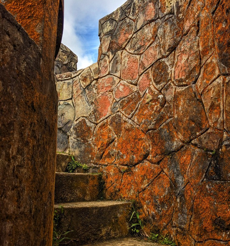 Mount Britton Trail-云盖国家森林公园必去景点