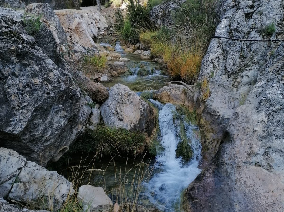 Cascada Guazalamanco景点图片