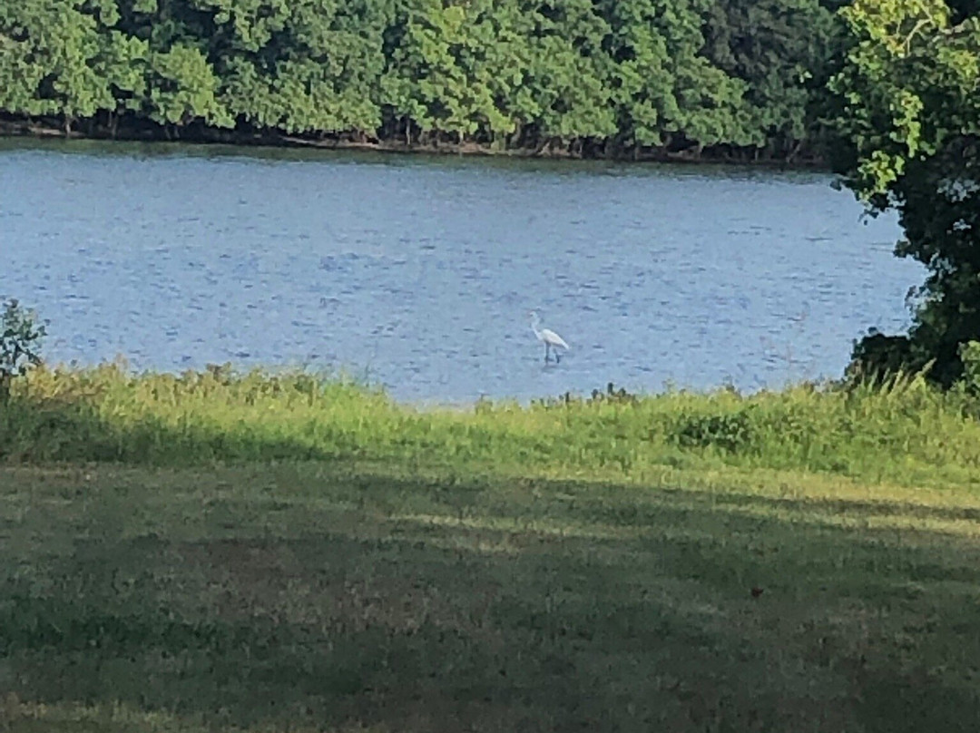 Lake Madison景点图片