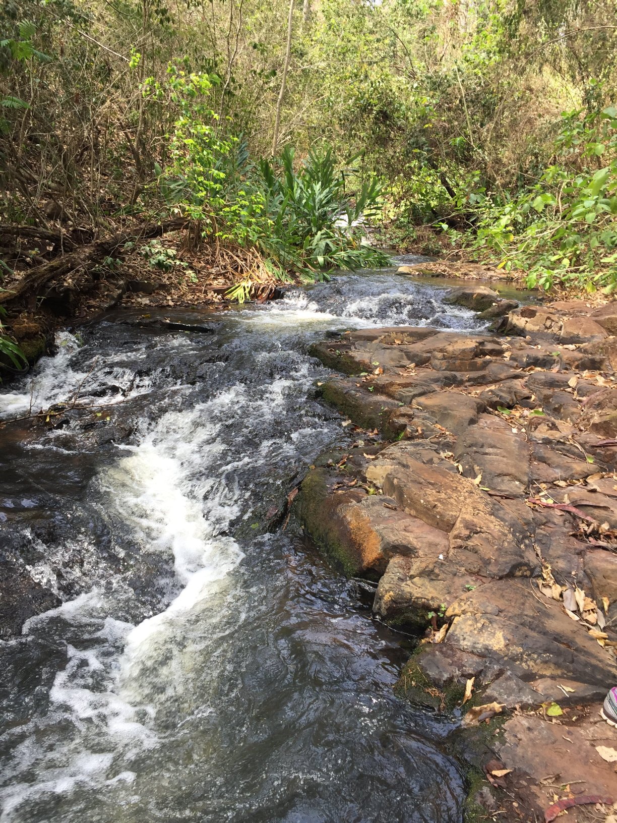 Hotel Fazenda Santa Tereza-官方
