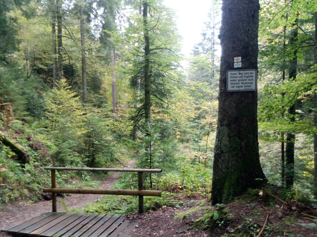 Schluchtensteig-Stuehlingen必去景点