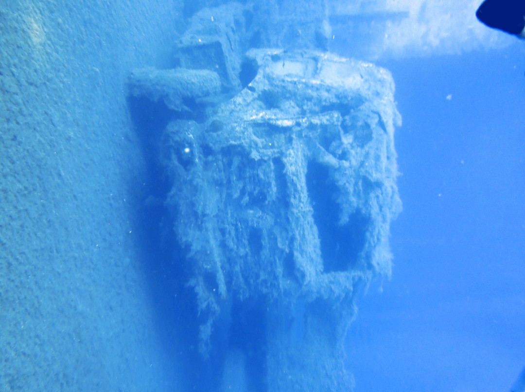 Diving Centers Werner Lau-Alaminos必去景点