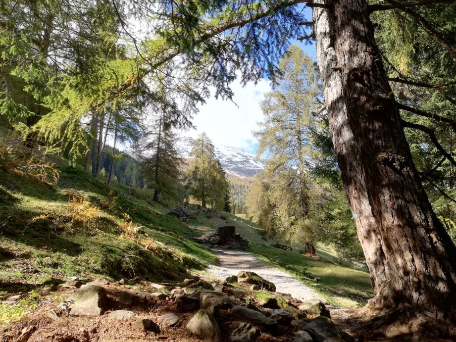 Parco Nazionale Dello Stelvio - Centro Visite di Rabbi景点图片