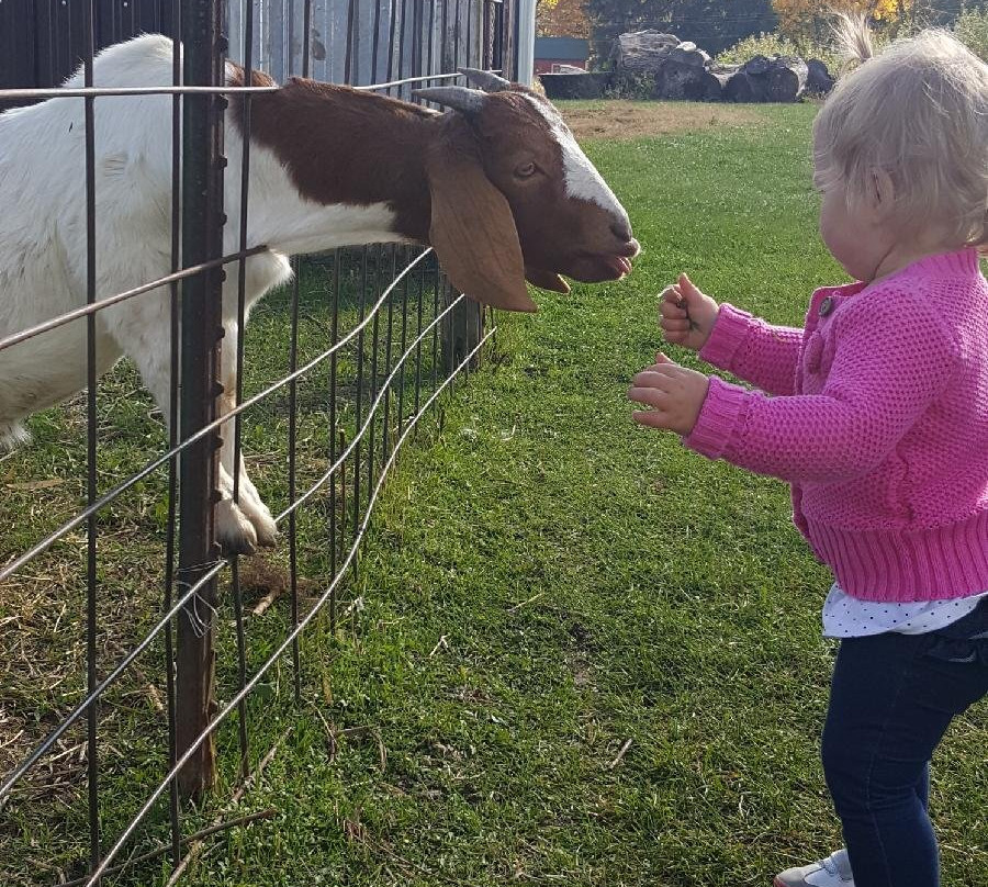 Lapacek’s Orchard-Poynette必去景点