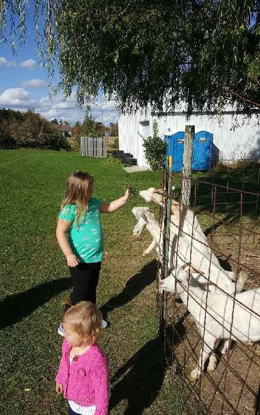 Lapacek’s Orchard-Poynette必去景点
