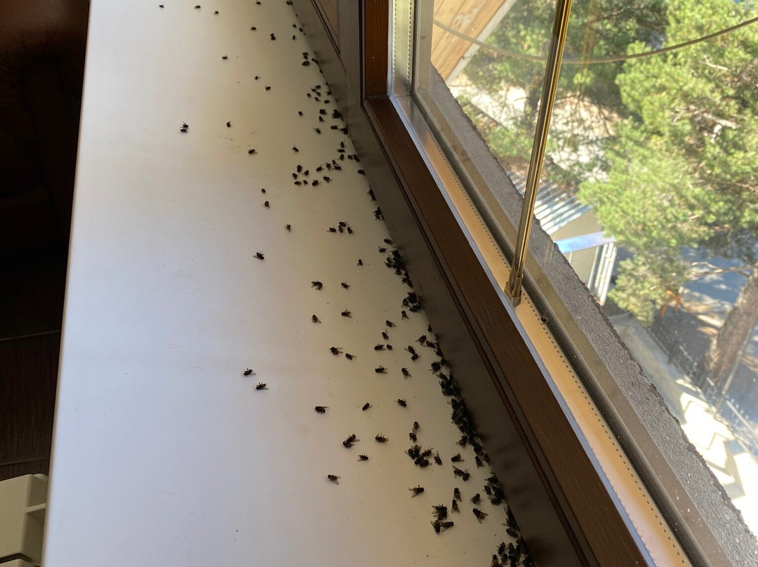 Ozon Cheget Hotel主图