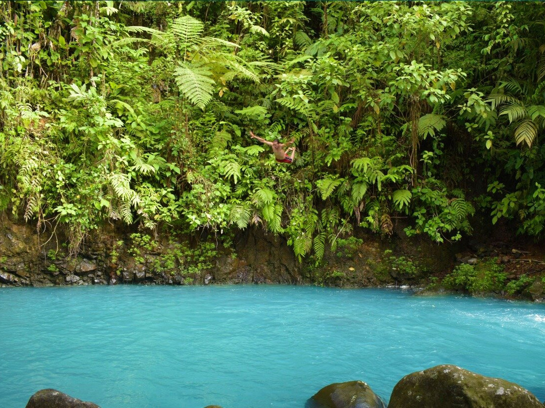 Sendero Las Sorpresas Rio Celeste景点图片