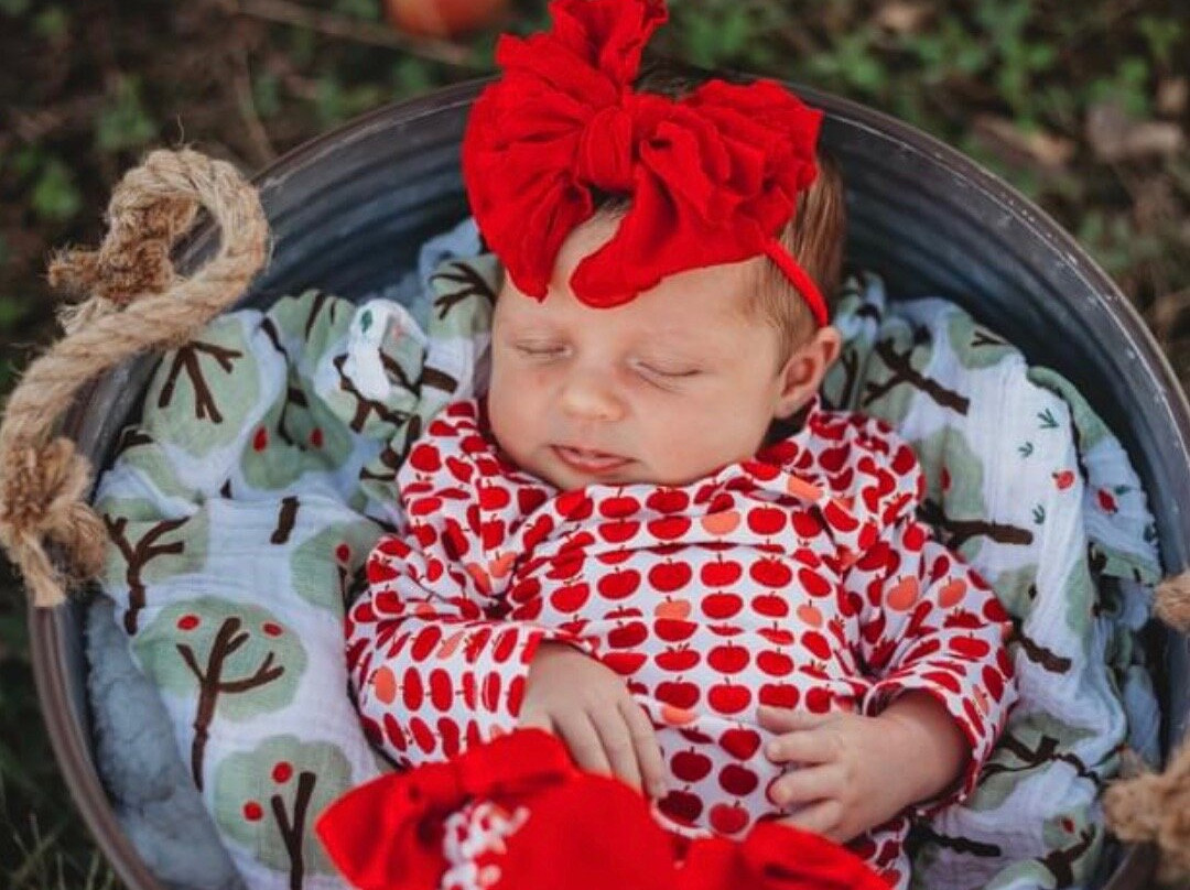 R & A Orchards-Ellijay必去景点