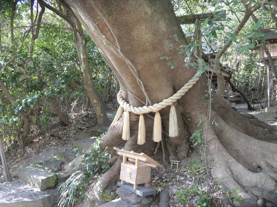 Eight Dragon King God of Water Shrine景点图片
