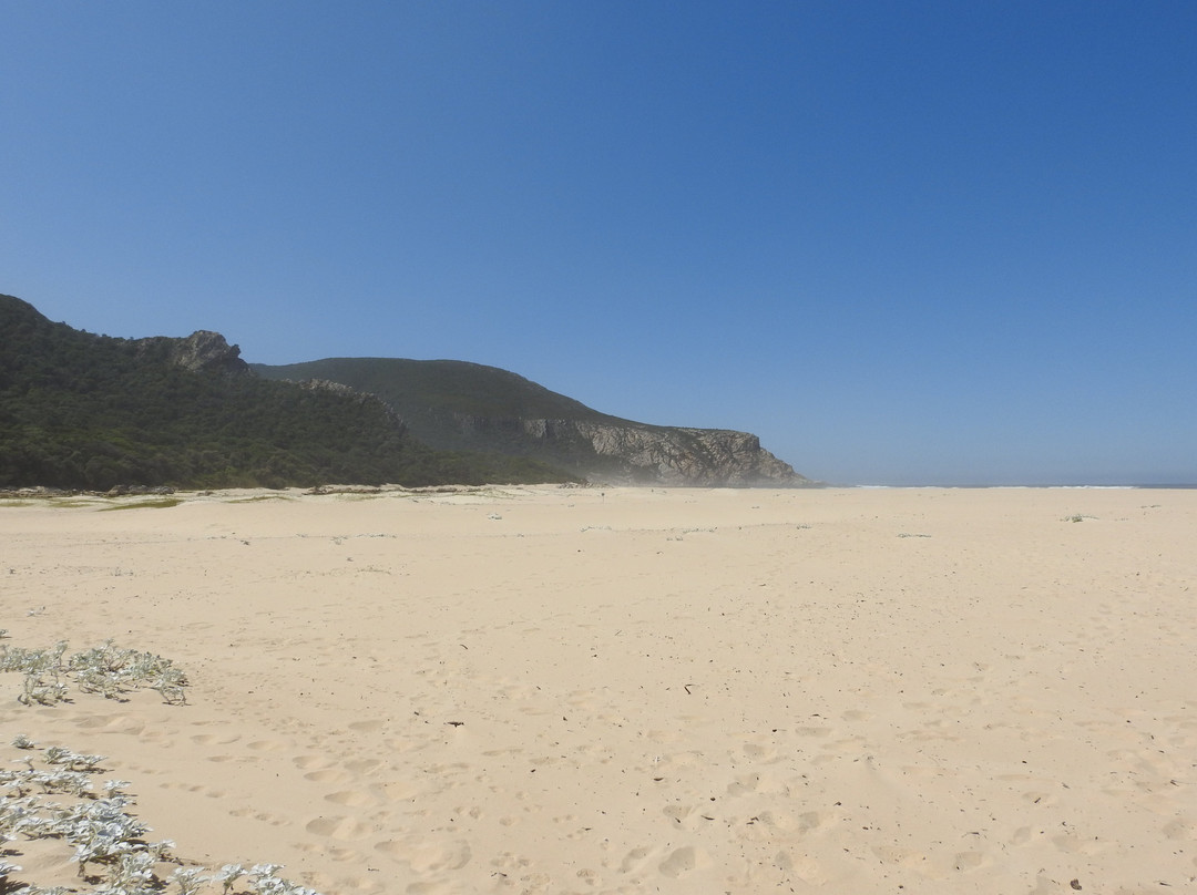 Natures Valley Beach-自然谷必去景点