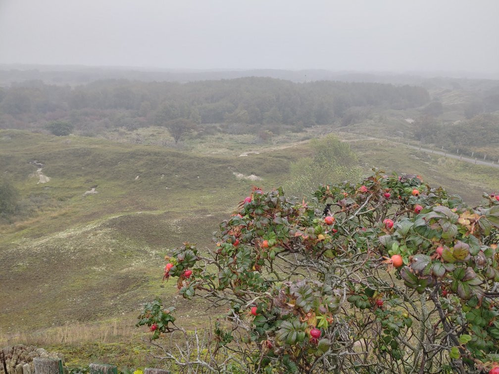 Watt-Baltrum必去景点
