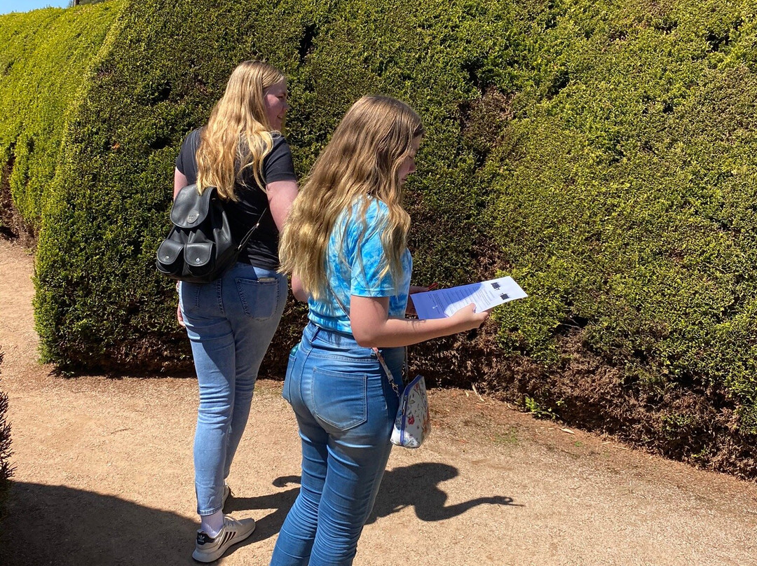 Mintaro Maze-Mintaro必去景点