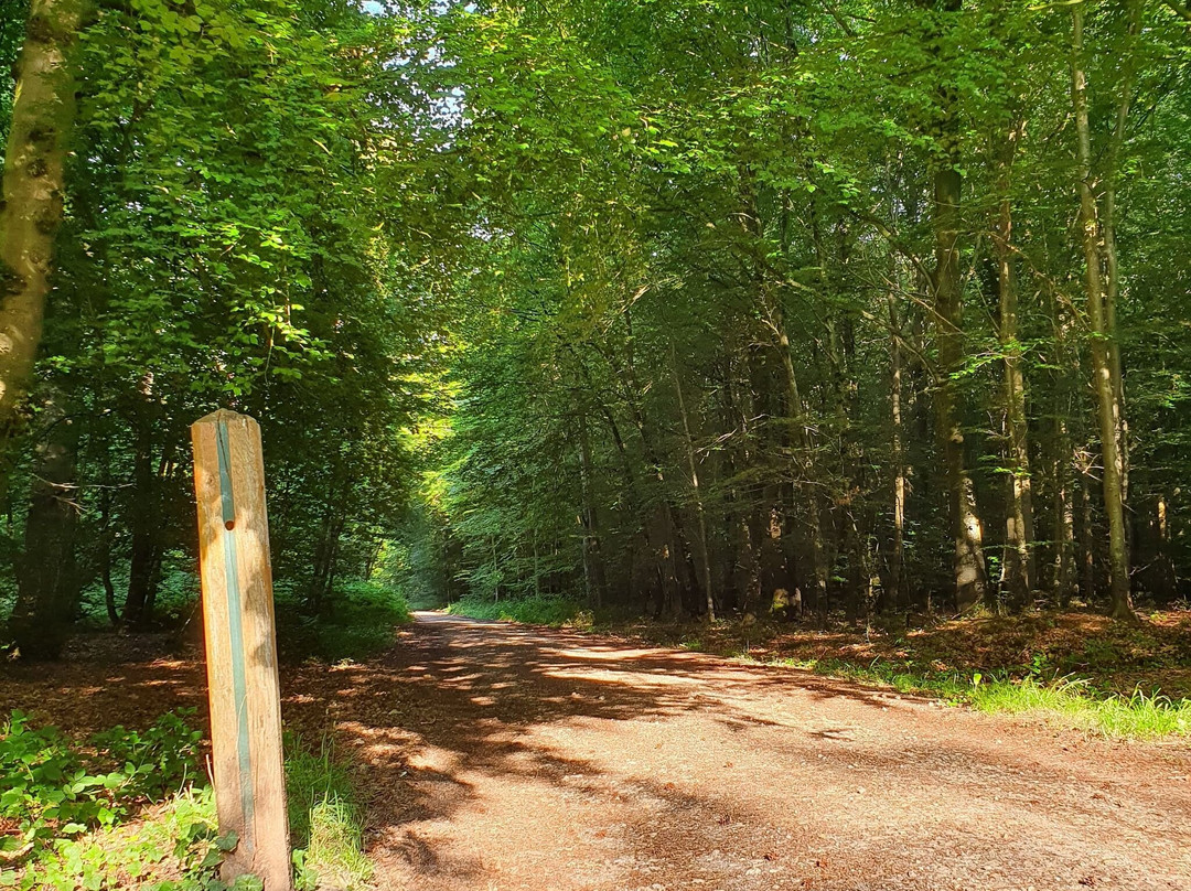 Les Grandes-Ventes旅游攻略图片