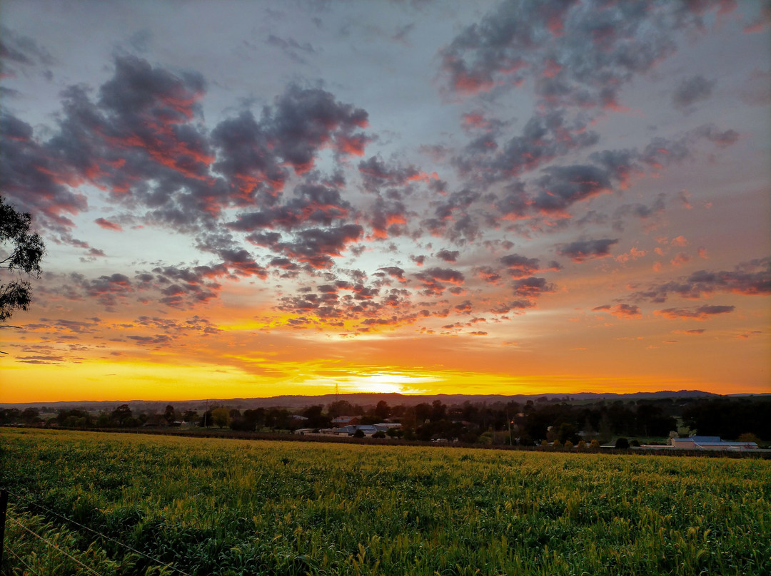 葡萄园汽车旅馆主图