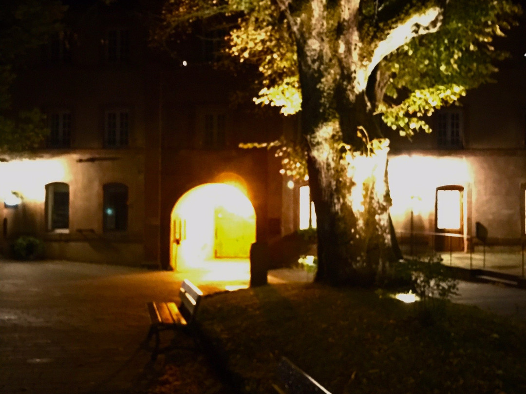 Hostellerie Du Mont Sainte-Odile主图