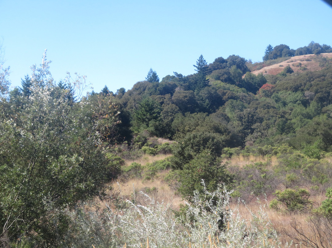 Skyline Ridge Preserve-La Honda必去景点