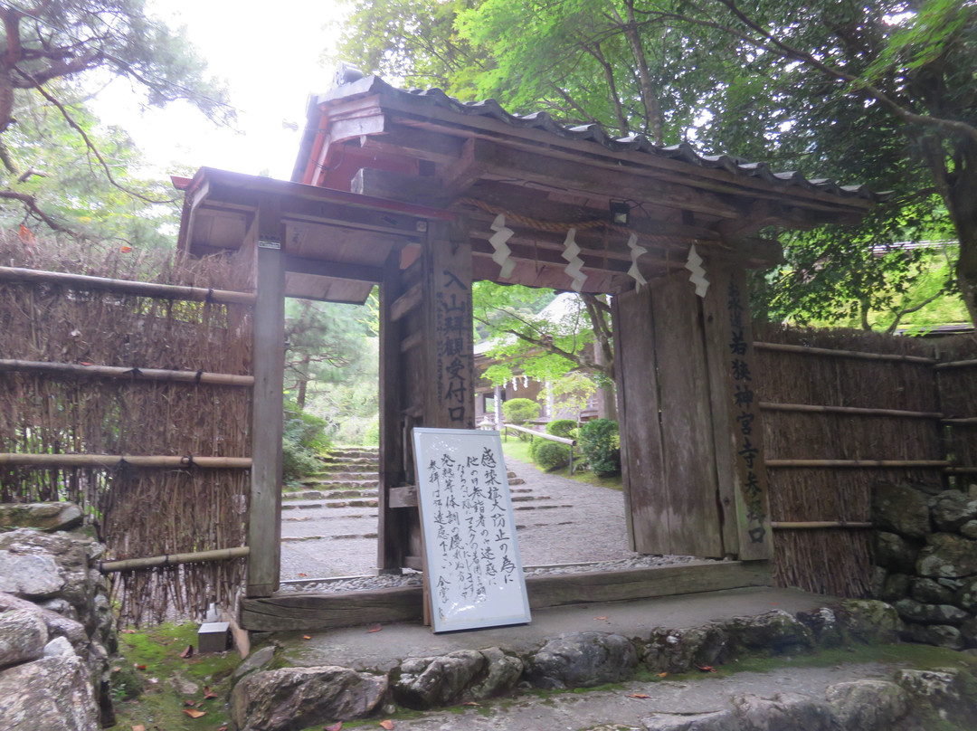 Jinguji Temple-小滨市必去景点