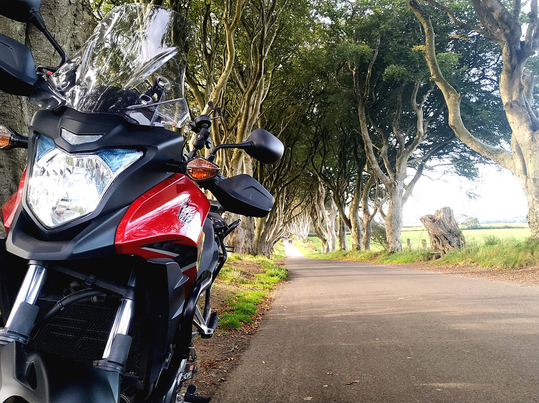 Flyride Ireland (formerly Belfast Motorcycle Rentals)景点图片