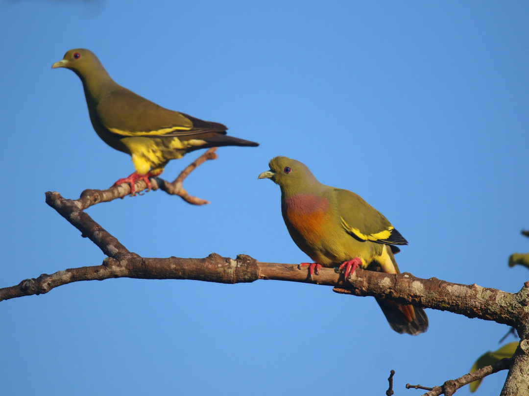 Mowgli Safari-蒂瑟默哈拉默必去景点