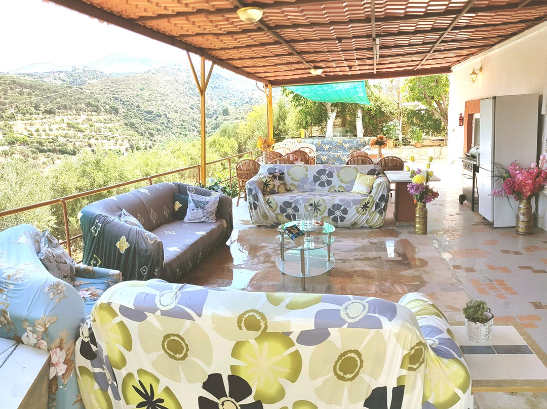 Evli Apartments主图