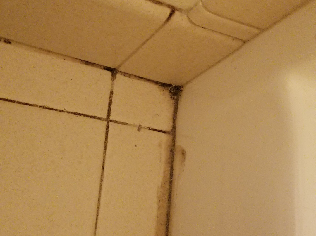 M22 Inn Empire主图