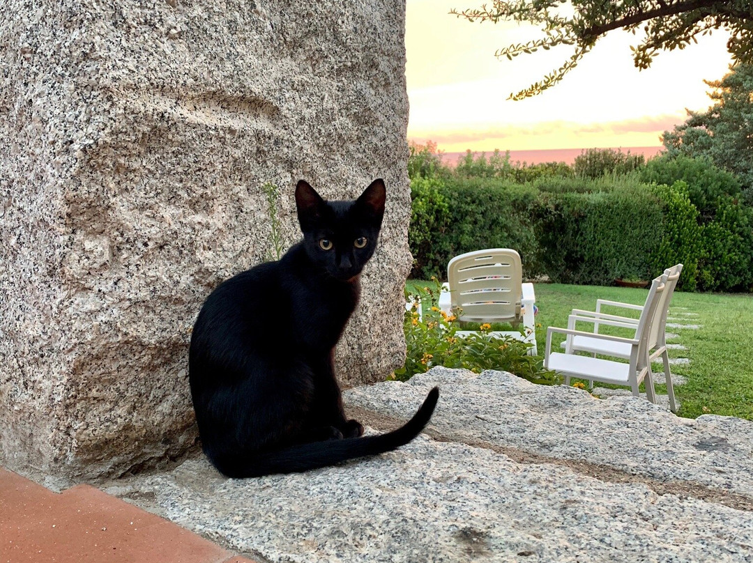 Entu Beach Bar-Castiadas必去景点