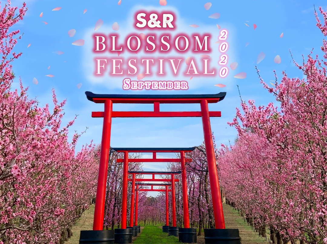S&R Orchard Perth景点图片