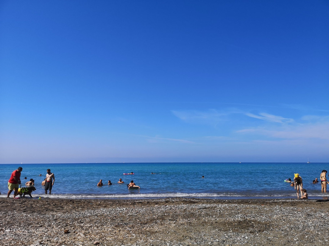 Riserva Naturale Tombolo di Cecina景点图片