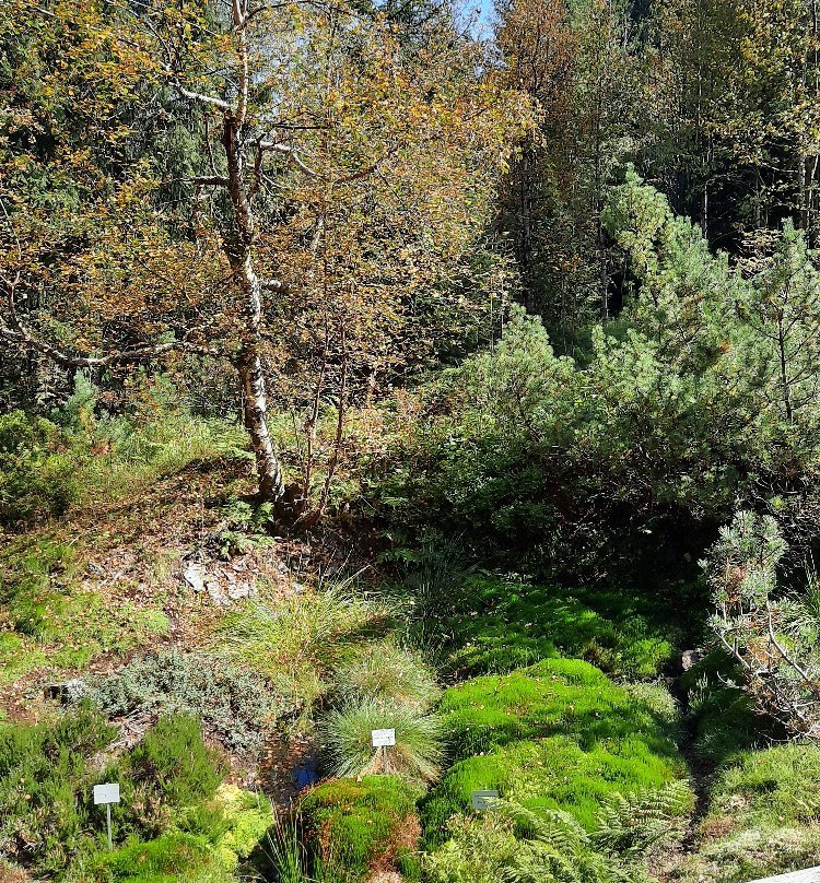 Rennsteiggarten Oberhof-Oberhof必去景点