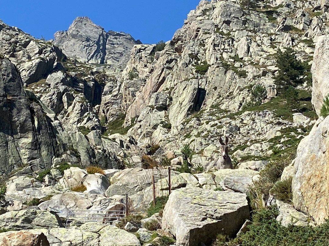 Restonica Trail-Corte必去景点