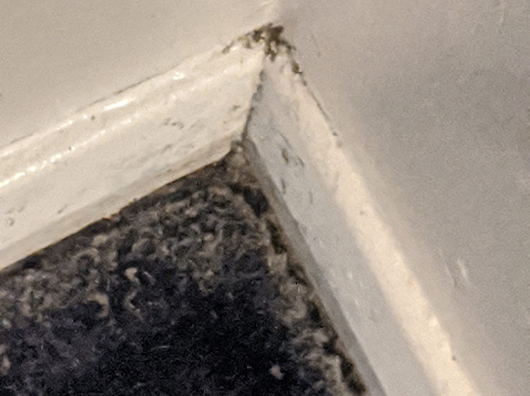 Travelodge Stonehouse主图