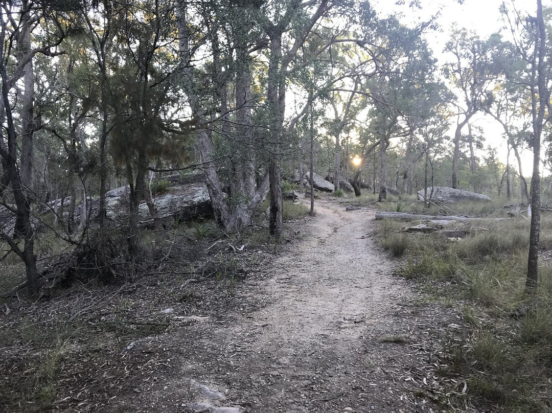 Karawatha Forest Discovery Centre景点图片