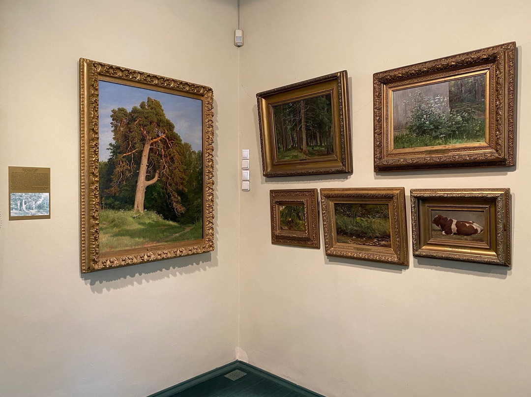 Vladimir Art gallery景点图片