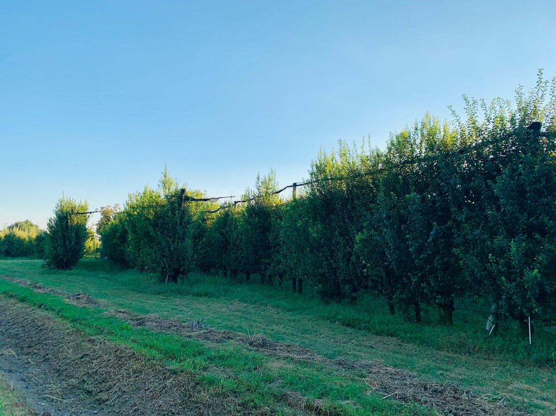 Agriturismo Palazzo Baldini主图