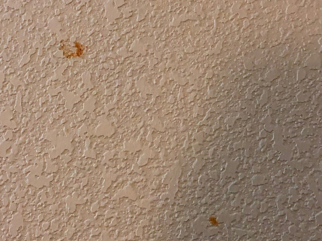 Super 8 by Wyndham Conway主图