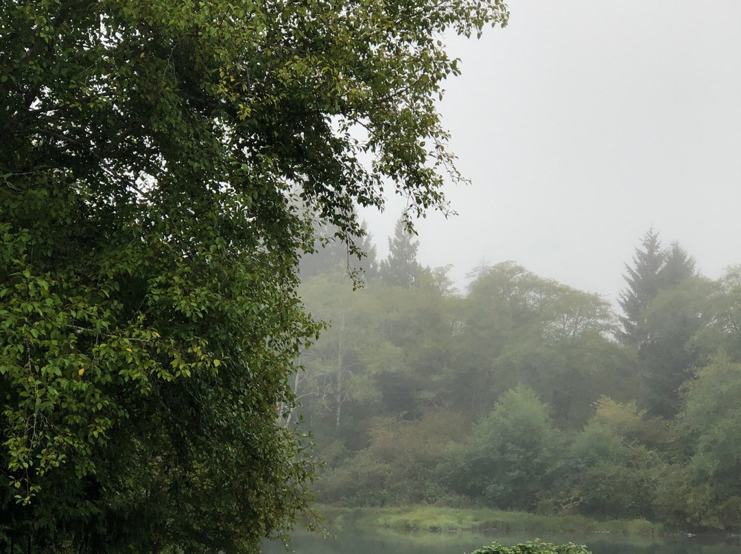 奎纳尔特河客栈主图