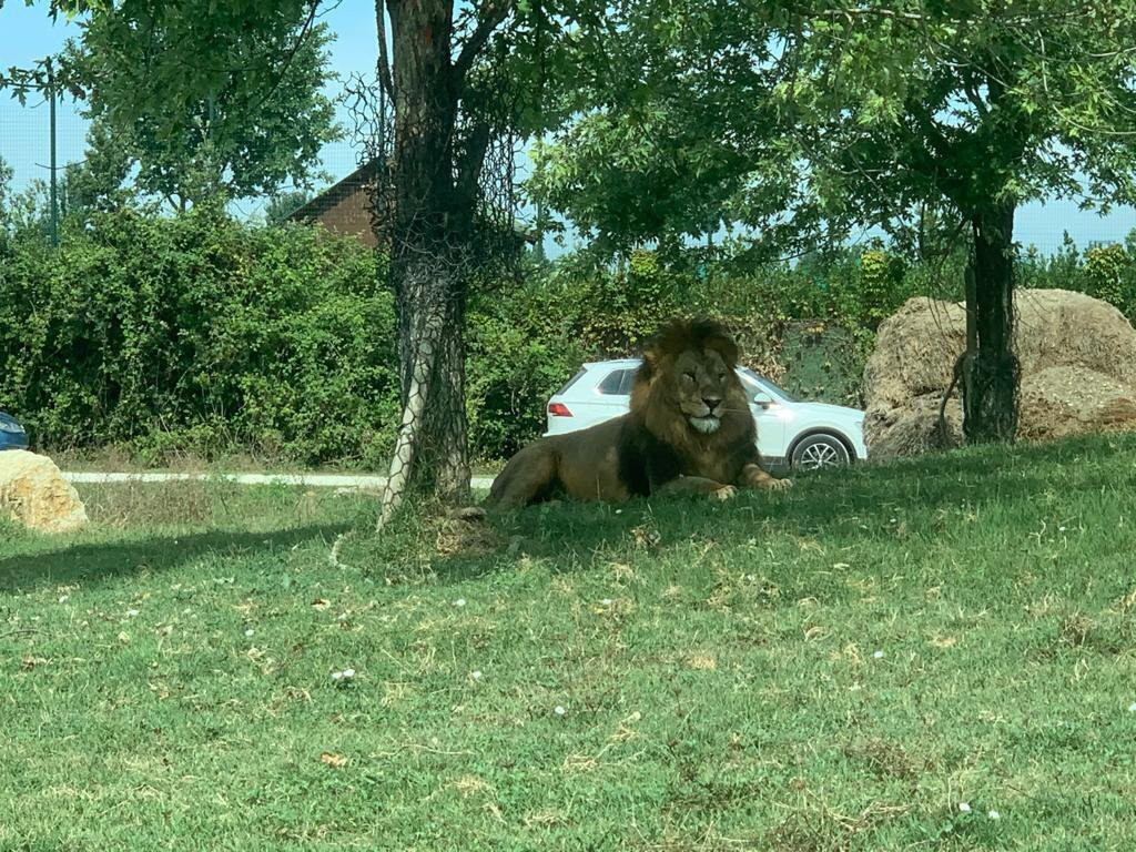 Safari Ravenna景点图片