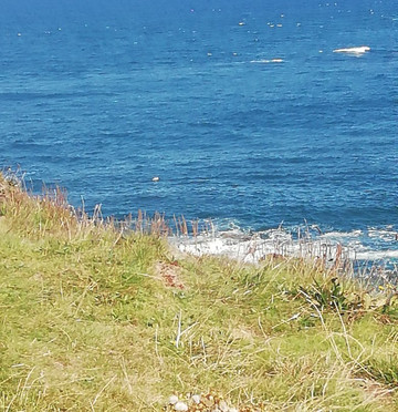 Eyemouth Fort-Eyemouth必去景点