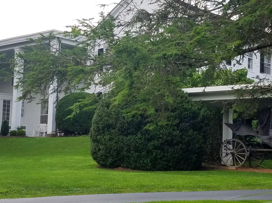 Historic General Lewis Inn主图