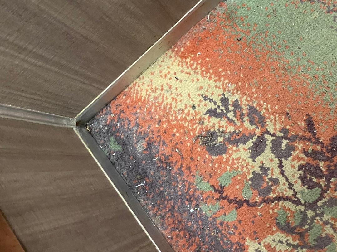 Kamenoi Hotel Akita Yuze主图