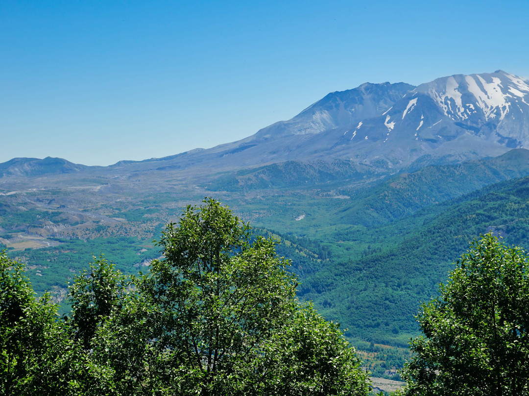 The Forest Learning Center at Mount St. Helens景点图片