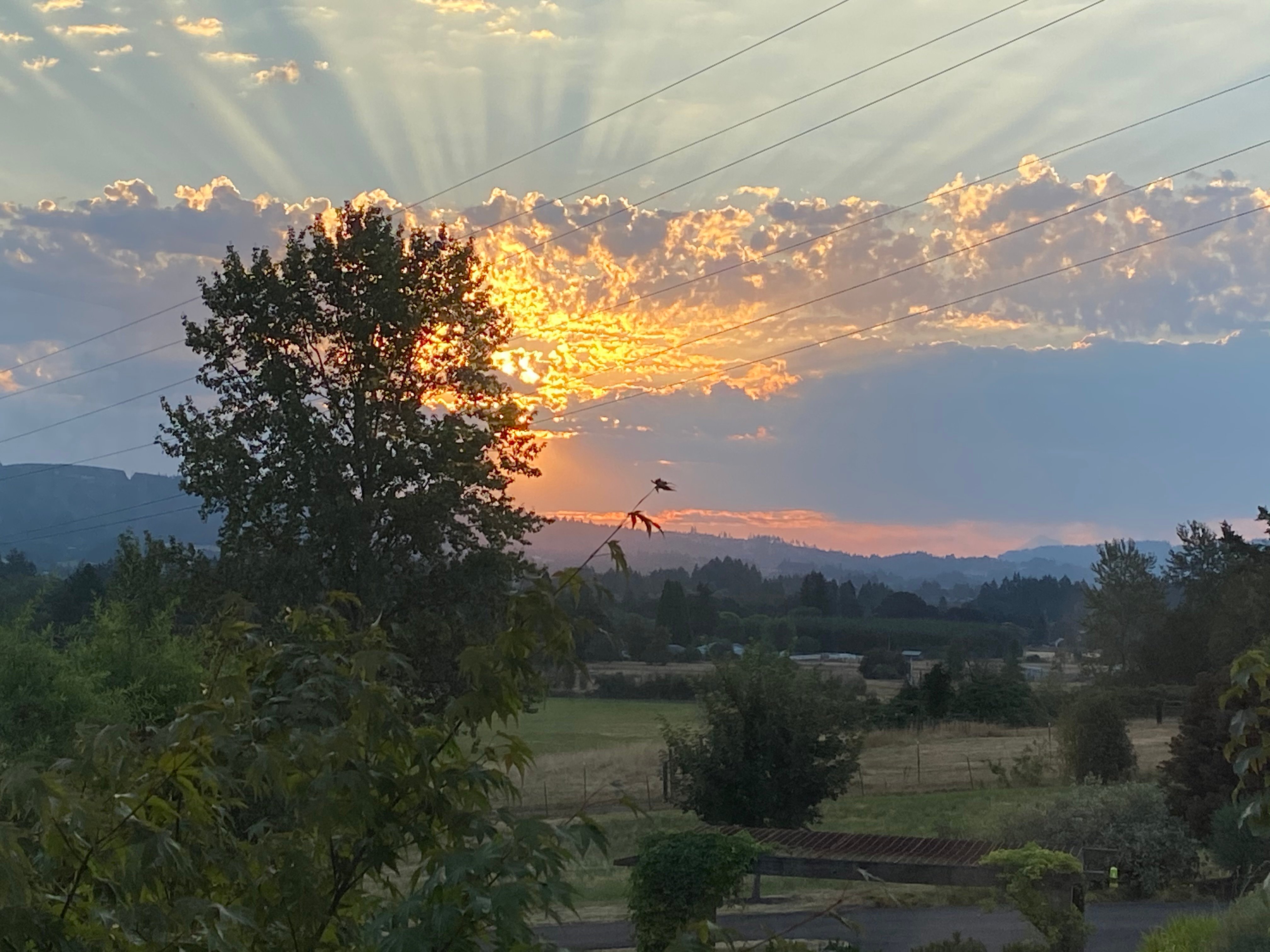 The Setting Inn Willamette Valley-酒店景观