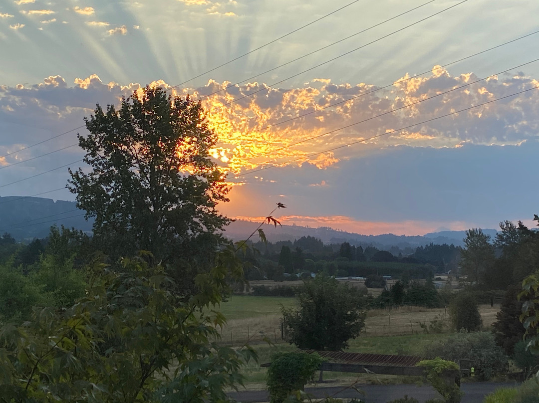 The Setting Inn Willamette Valley主图