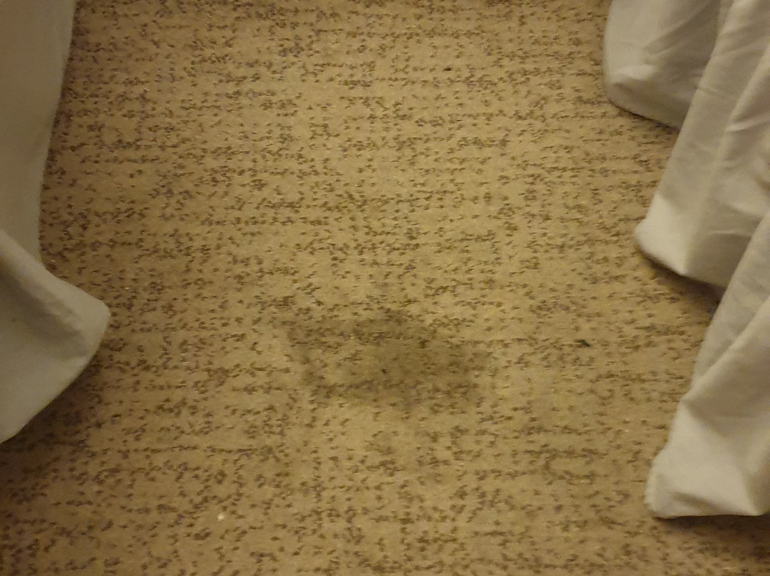 The Brentwood Hotel主图